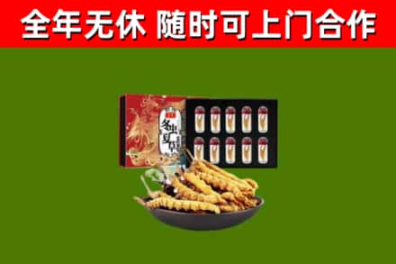 长垣市回收冬虫夏草价格