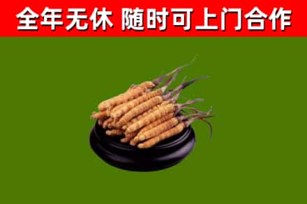 长垣市烟酒回收冬虫夏草.jpg