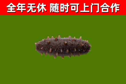 长垣市烟酒回收干海参.jpg